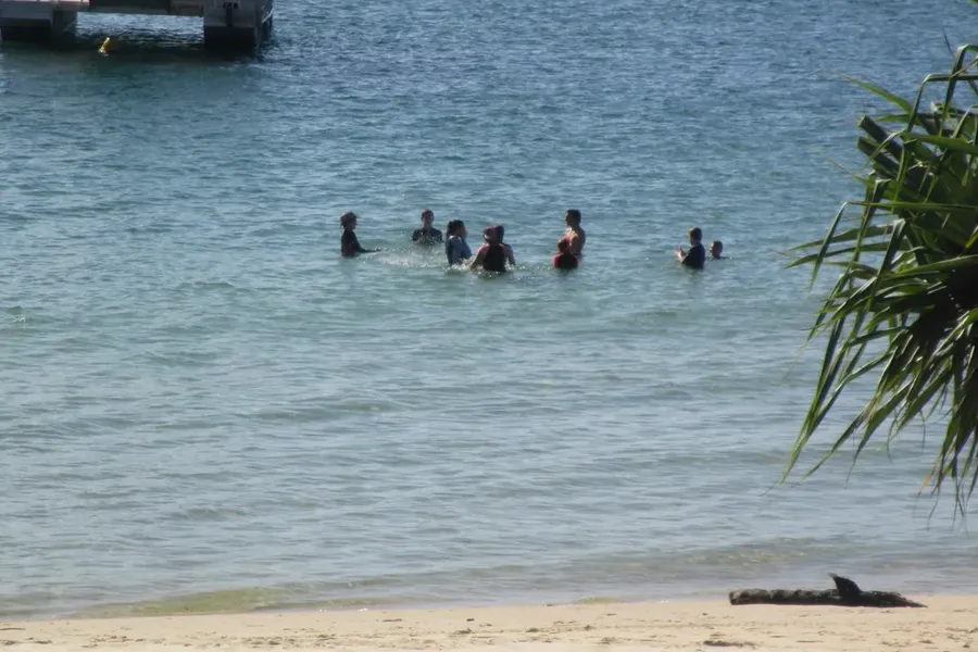 A group of children swimming together off a beach on a school outing.